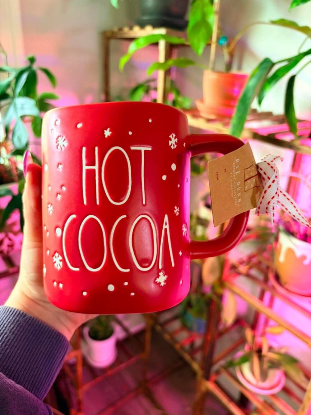 ❤️☕ Cozy up for the holidays with this adorable Rae Dunn Artisan Collection Chri